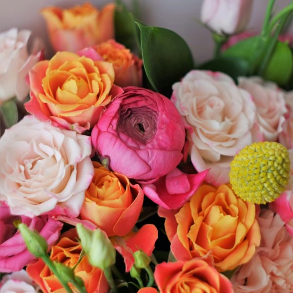 Build an Arrangement