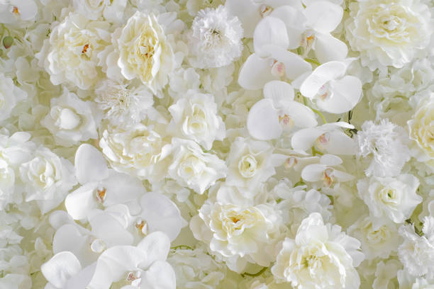 Whites