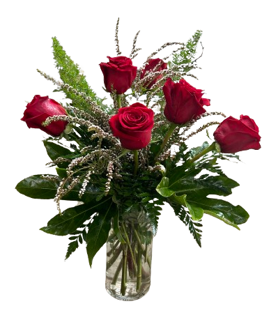 Half Dozen Red Roses image 0