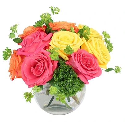Sorbet image 0