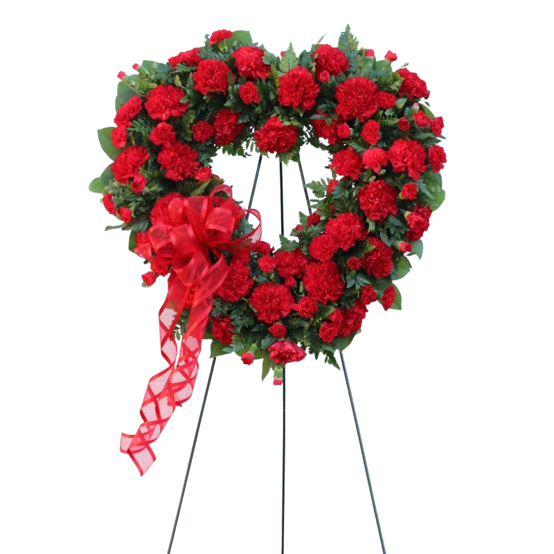 Red Carnation Heart