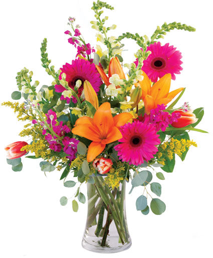 Lively Lilies