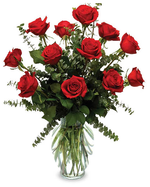 One Dozen Radiant Red Roses image 0