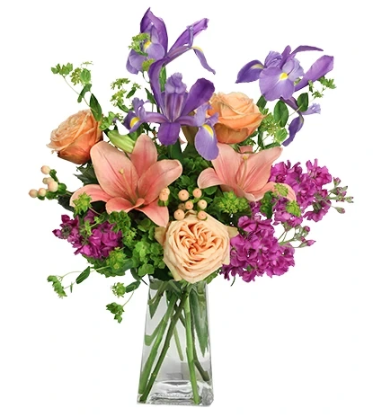 Iris Beauty image 0