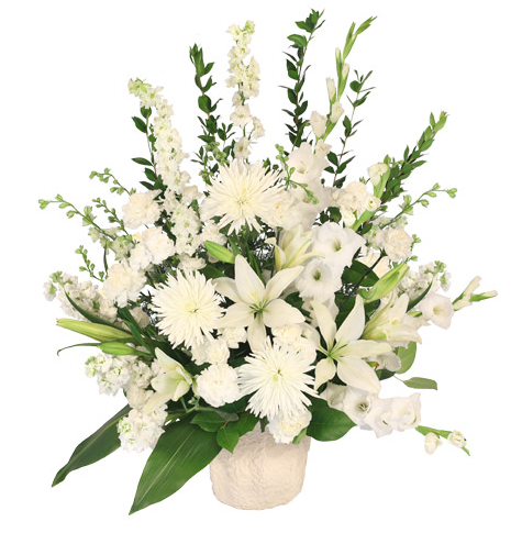 Grace Devoted image 0