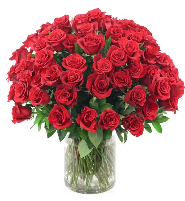 Showstopper *100 Red Roses* image 0