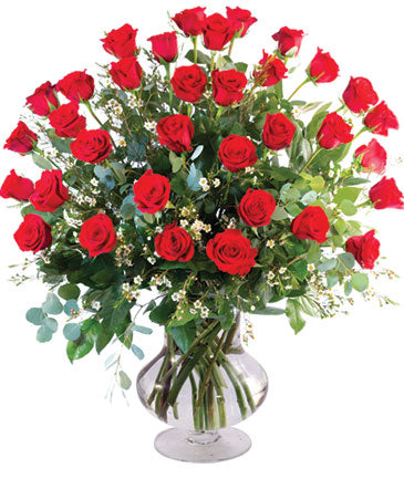 3-Dozen Radiant Red Roses image 0