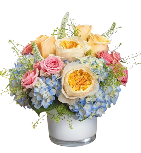 Southern Belle image 0